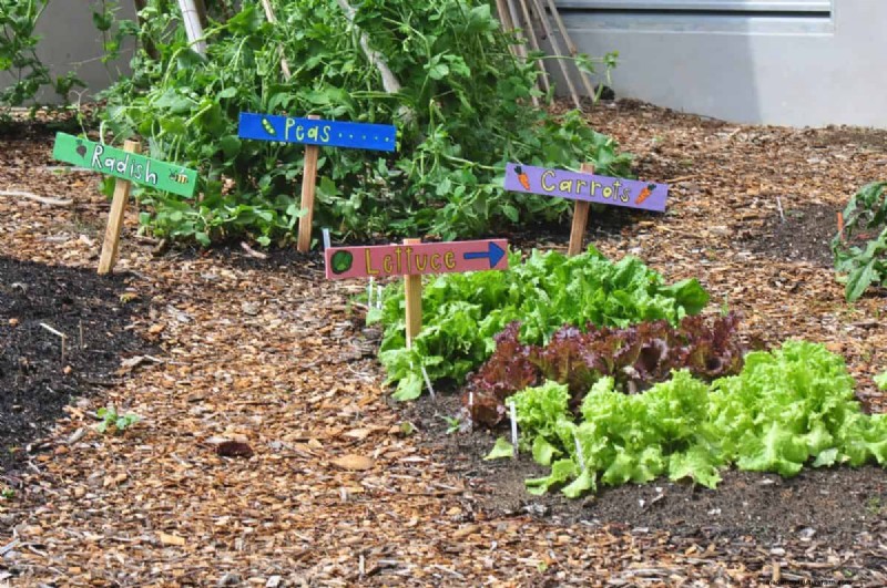 25 DIY Ideas to Repurpose Garden Scraps into Beautiful Home Décor