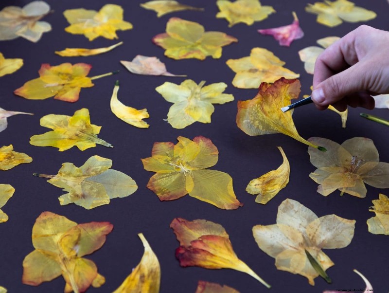 25 DIY Ideas to Repurpose Garden Scraps into Beautiful Home Décor
