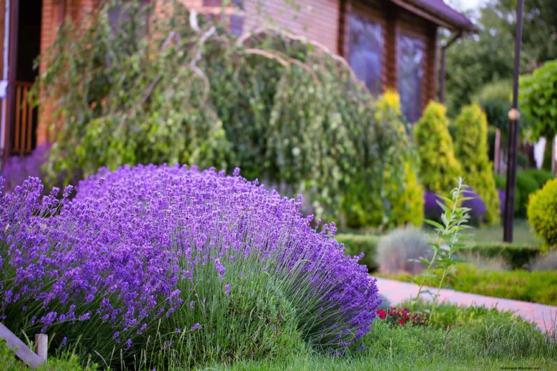 21 Expert Landscaping Strategies to Shield Your Home from Wildfires