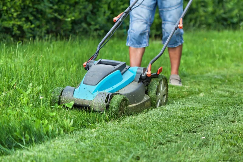 21 Expert Landscaping Strategies to Shield Your Home from Wildfires