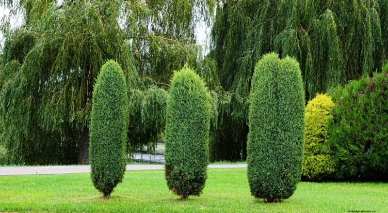 21 Expert Landscaping Strategies to Shield Your Home from Wildfires