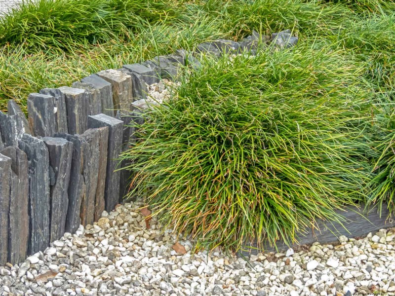 21 Expert Landscaping Strategies to Shield Your Home from Wildfires