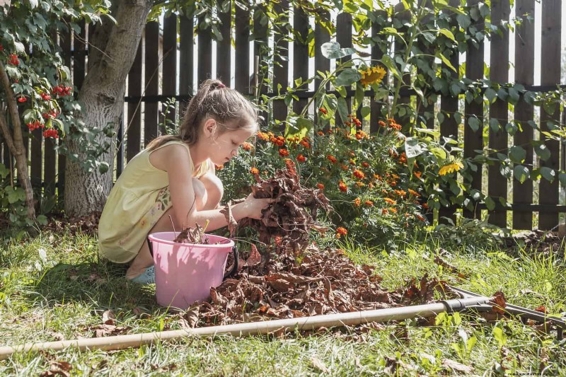 21 Expert Landscaping Strategies to Shield Your Home from Wildfires