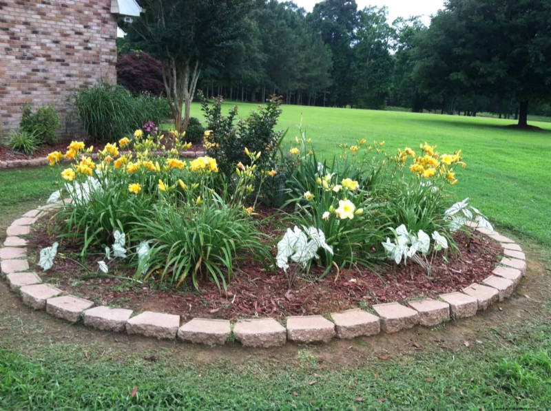 21 Expert Landscaping Strategies to Shield Your Home from Wildfires