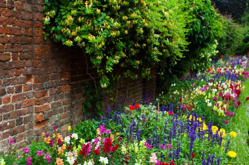 21 Expert Landscaping Strategies to Shield Your Home from Wildfires