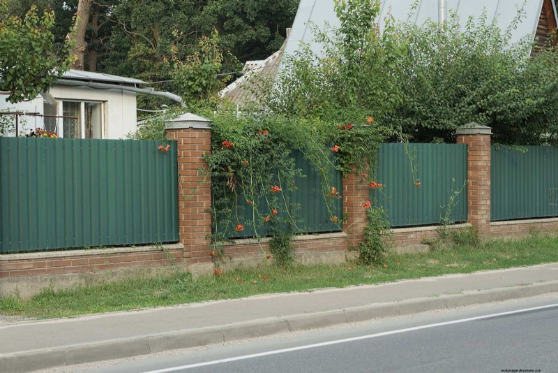 21 Expert Landscaping Strategies to Shield Your Home from Wildfires