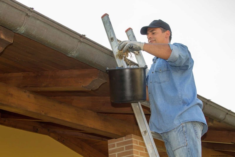 21 Expert Landscaping Strategies to Shield Your Home from Wildfires