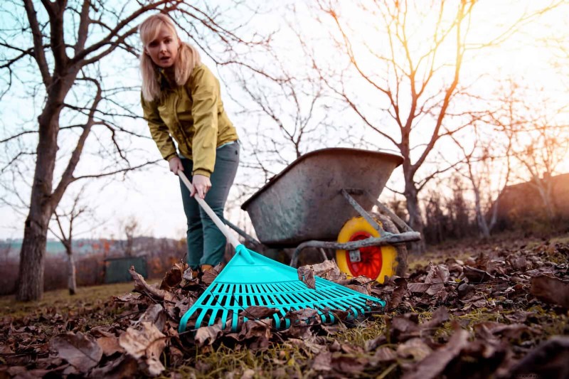 21 Expert Landscaping Strategies to Shield Your Home from Wildfires