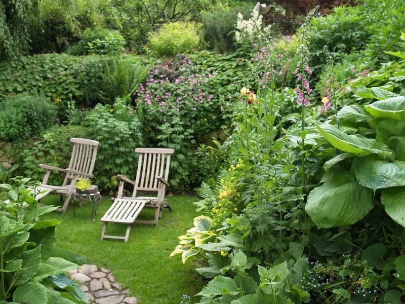How to Create a Stunning Summer Landscape with Minimal Effort