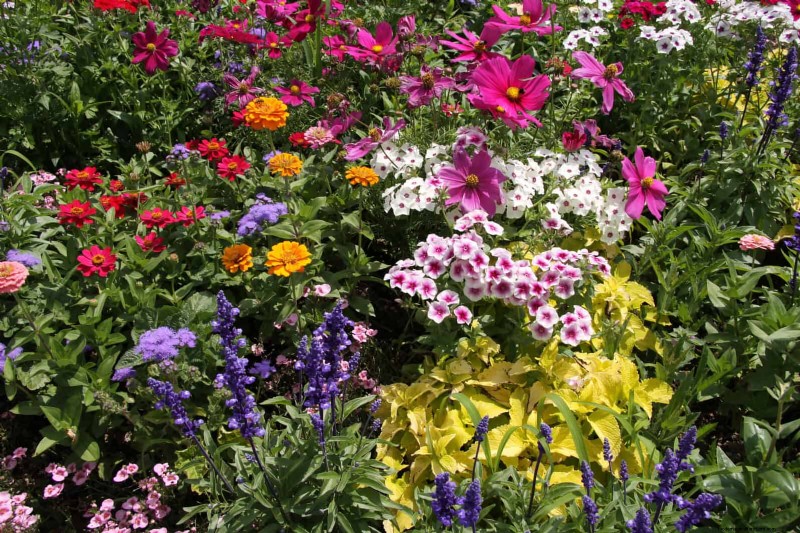 How to Create a Stunning Summer Landscape with Minimal Effort