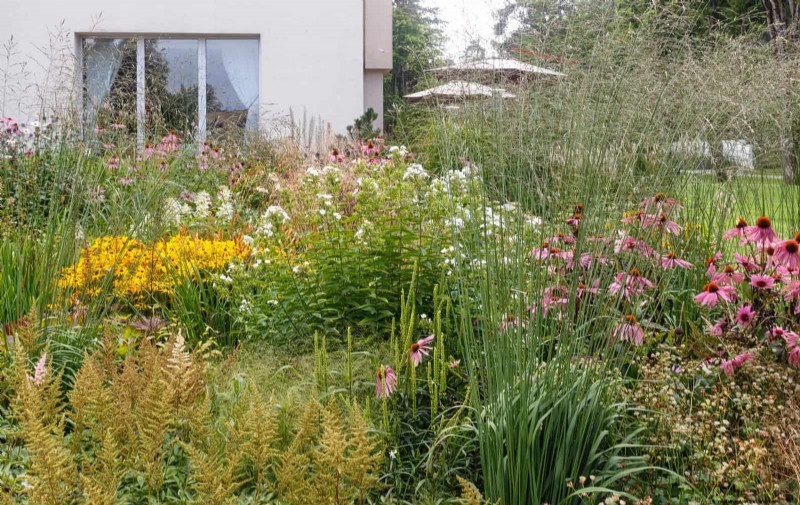 How to Create a Stunning Summer Landscape with Minimal Effort
