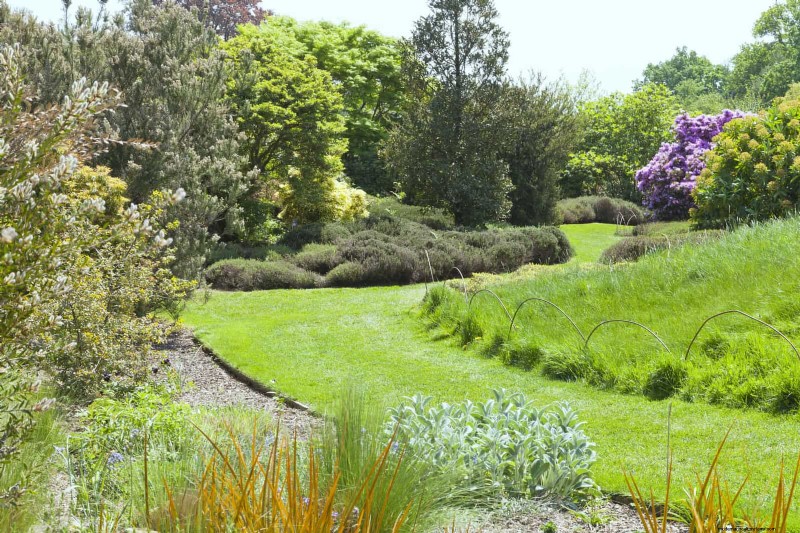 How to Create a Stunning Summer Landscape with Minimal Effort