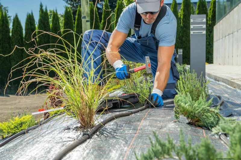How to Create a Stunning Summer Landscape with Minimal Effort