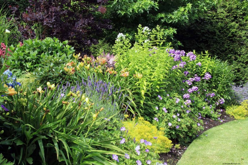 How to Create a Stunning Summer Landscape with Minimal Effort