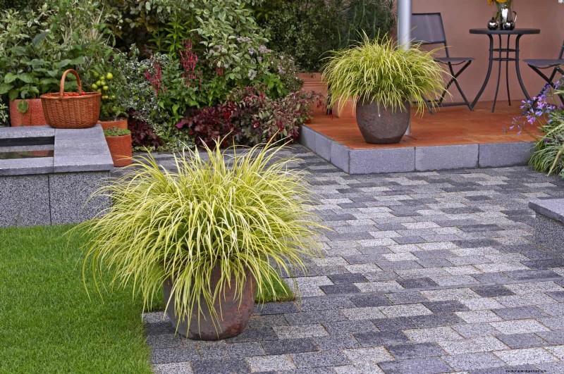 How to Create a Stunning Summer Landscape with Minimal Effort