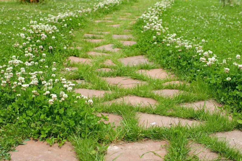 How to Create a Stunning Summer Landscape with Minimal Effort