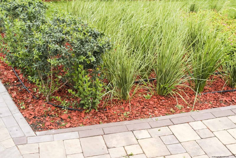 How to Create a Stunning Summer Landscape with Minimal Effort