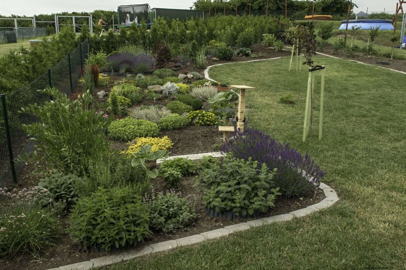 How to Create a Stunning Summer Landscape with Minimal Effort