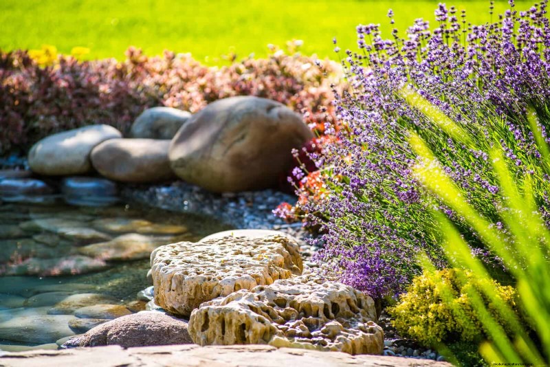 How to Create a Stunning Summer Landscape with Minimal Effort