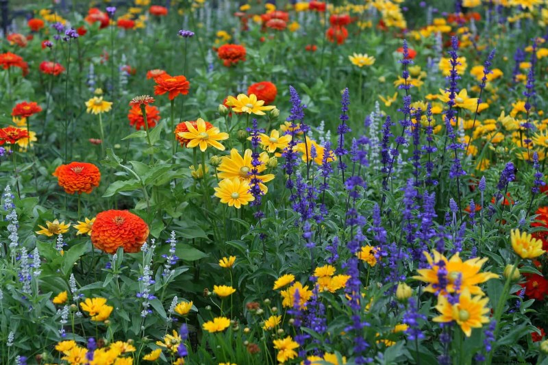 How to Create a Stunning Summer Landscape with Minimal Effort