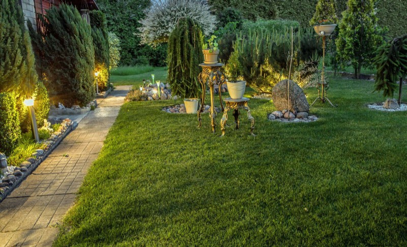 How to Create a Stunning Summer Landscape with Minimal Effort