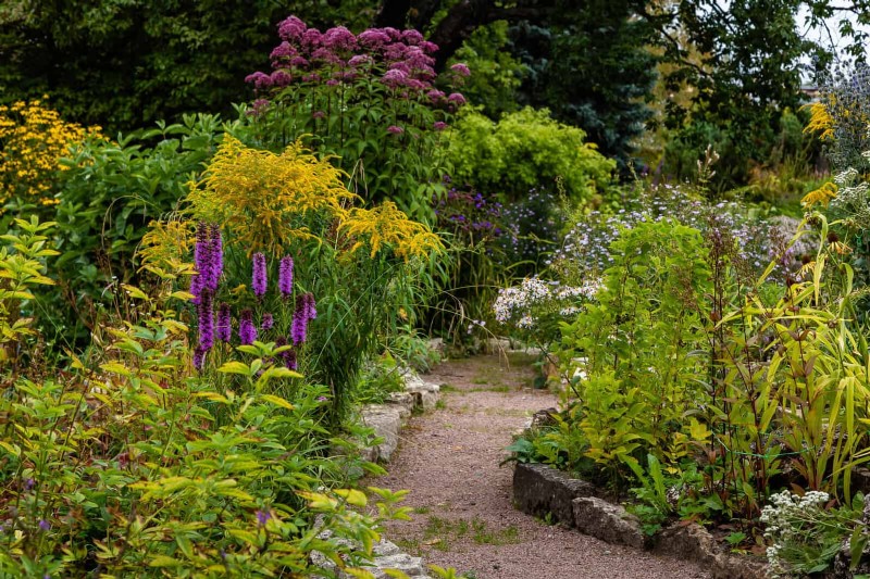 How to Create a Stunning Summer Landscape with Minimal Effort