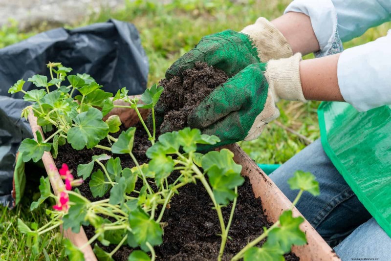 22 Clear Signs Your Soil Is Stunting Flower Growth