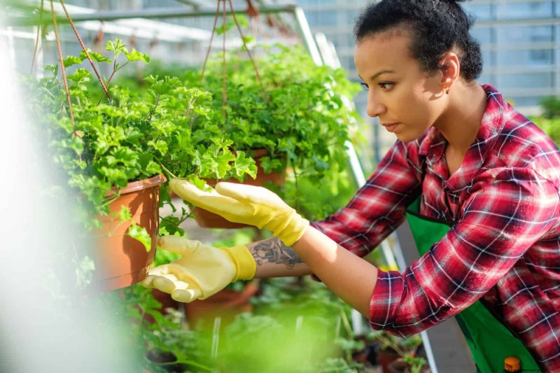 22 Clear Signs Your Soil Is Stunting Flower Growth