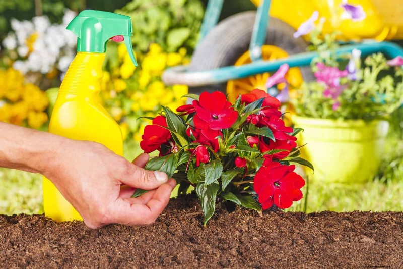 22 Clear Signs Your Soil Is Stunting Flower Growth
