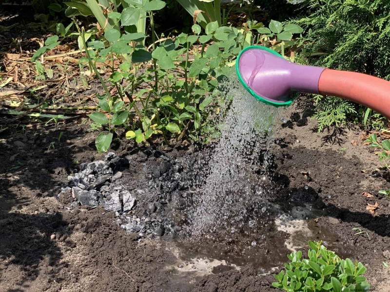 22 Clear Signs Your Soil Is Stunting Flower Growth
