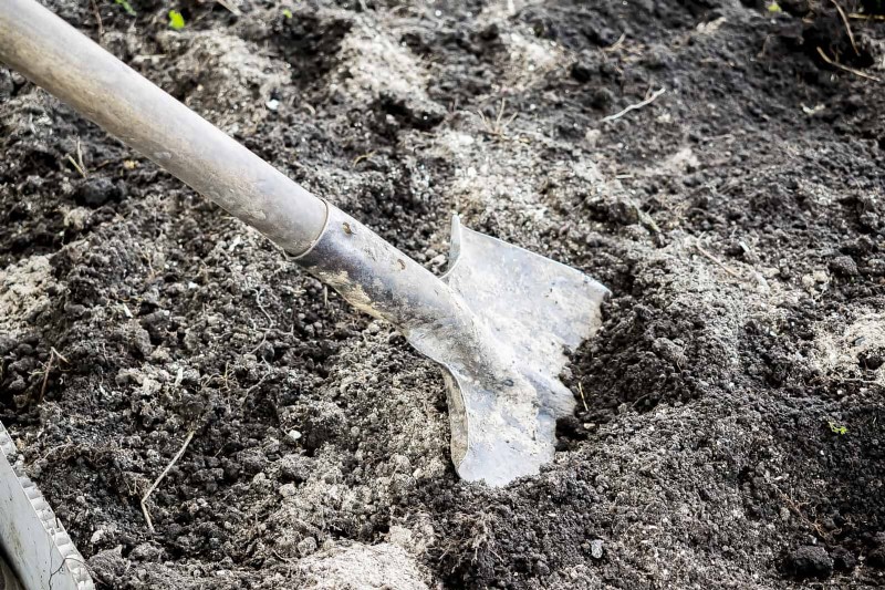 22 Clear Signs Your Soil Is Stunting Flower Growth