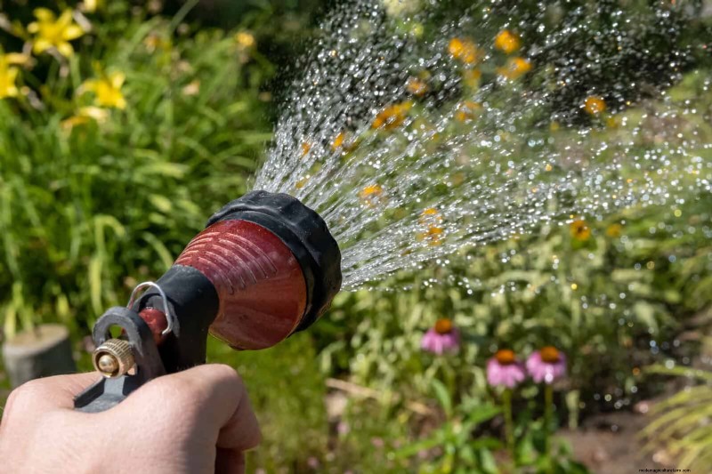 22 Clear Signs Your Soil Is Stunting Flower Growth
