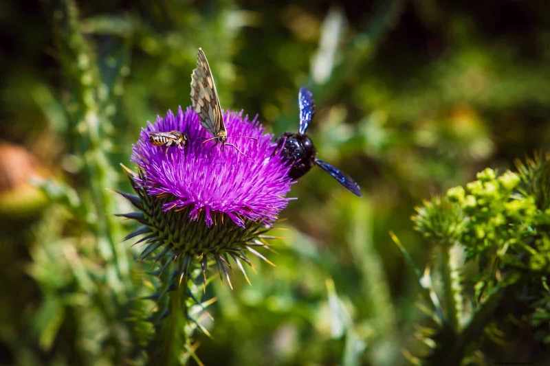 22 Clear Signs Your Soil Is Stunting Flower Growth