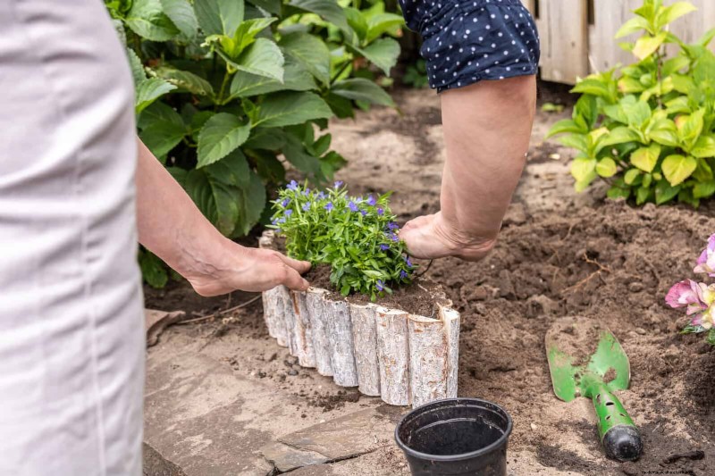 22 Clear Signs Your Soil Is Stunting Flower Growth