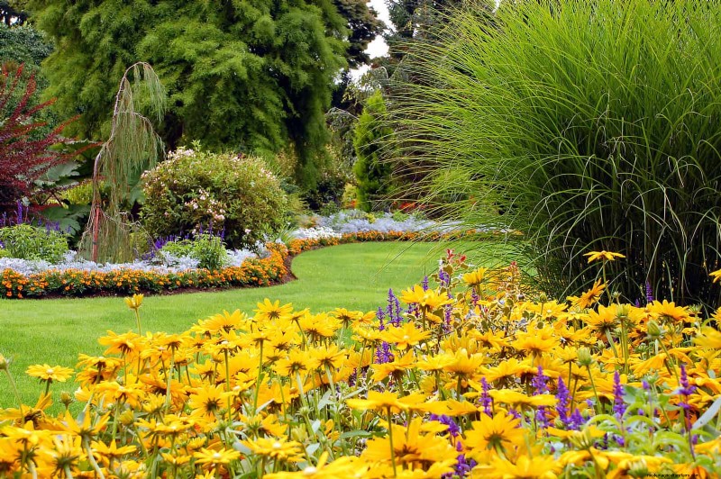 Build a Low‑Maintenance, Weed‑Free Garden with 22 Expert‑Chosen Plants