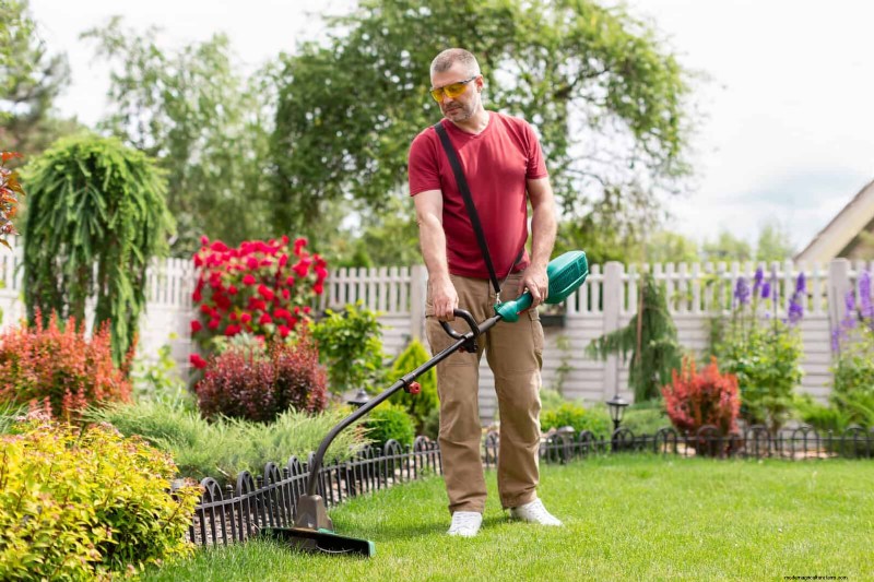 30 Essential March Garden Tasks to Kickstart a Lush Spring Yard