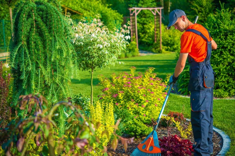 30 Essential March Garden Tasks to Kickstart a Lush Spring Yard