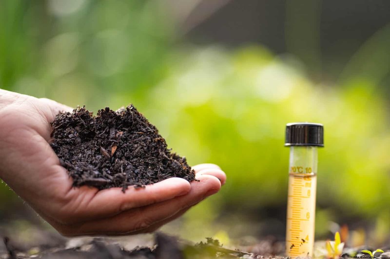 30 Essential March Garden Tasks to Kickstart a Lush Spring Yard