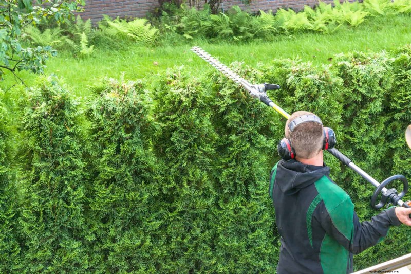 30 Essential March Garden Tasks to Kickstart a Lush Spring Yard