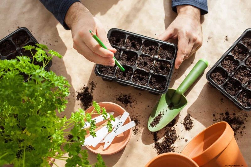 30 Essential March Garden Tasks to Kickstart a Lush Spring Yard