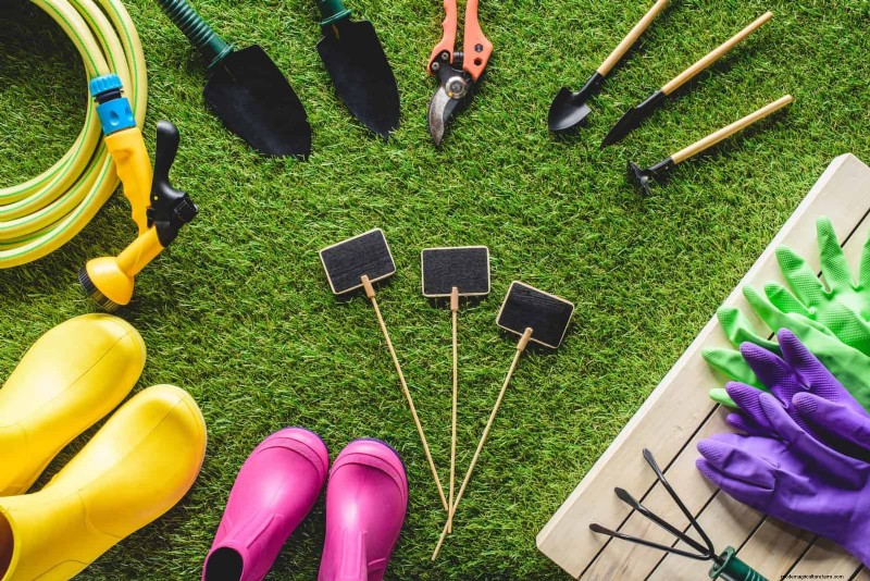 30 Essential March Garden Tasks to Kickstart a Lush Spring Yard