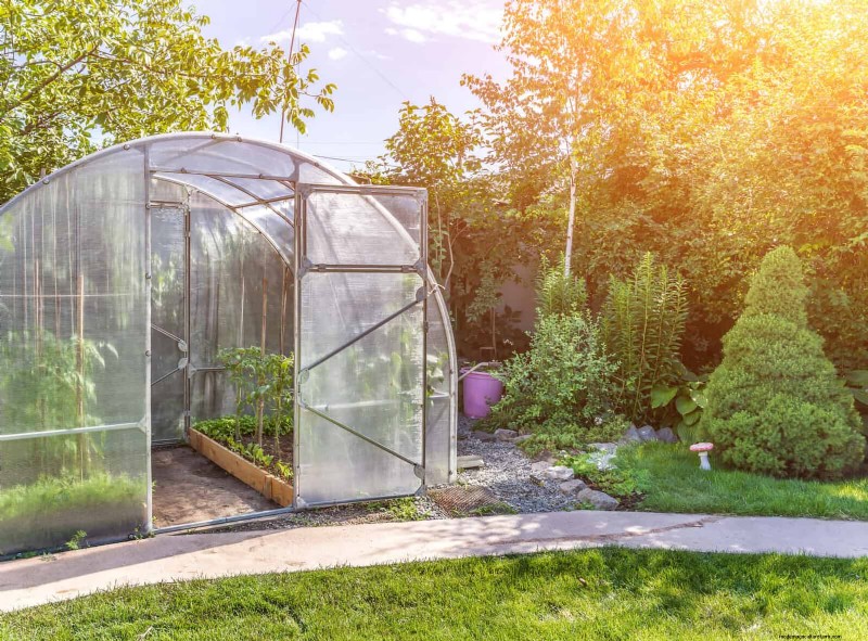 30 Essential March Garden Tasks to Kickstart a Lush Spring Yard
