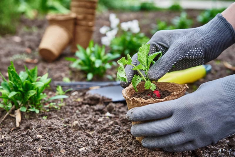30 Essential March Garden Tasks to Kickstart a Lush Spring Yard