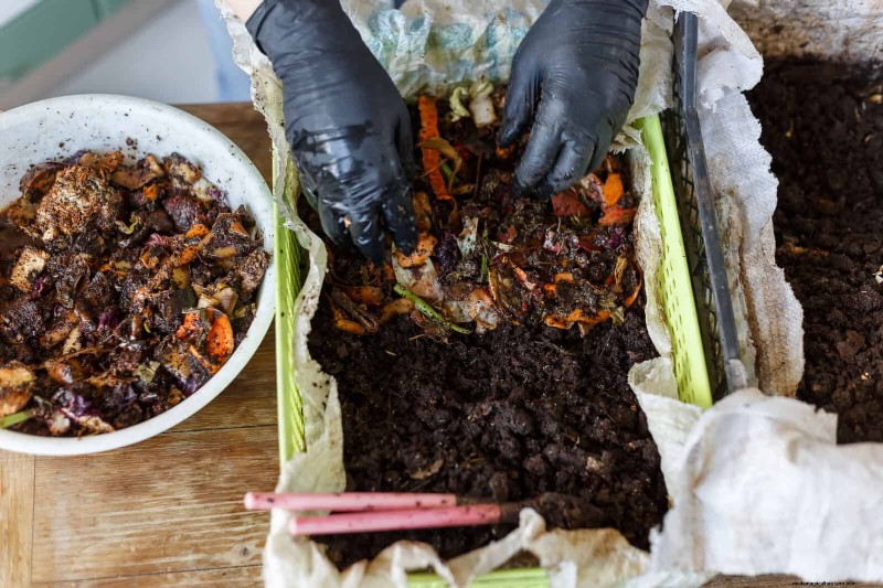 30 Essential March Garden Tasks to Kickstart a Lush Spring Yard