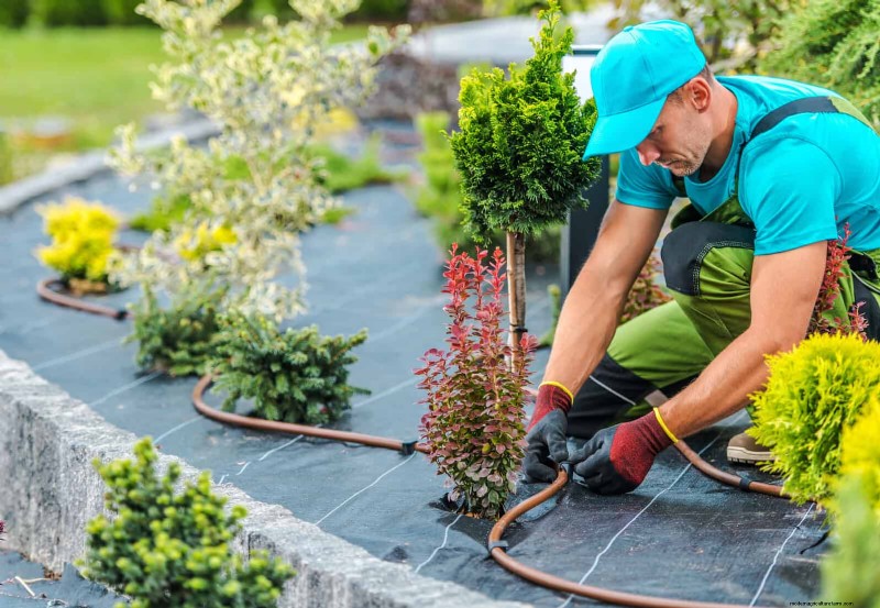 30 Essential March Garden Tasks to Kickstart a Lush Spring Yard