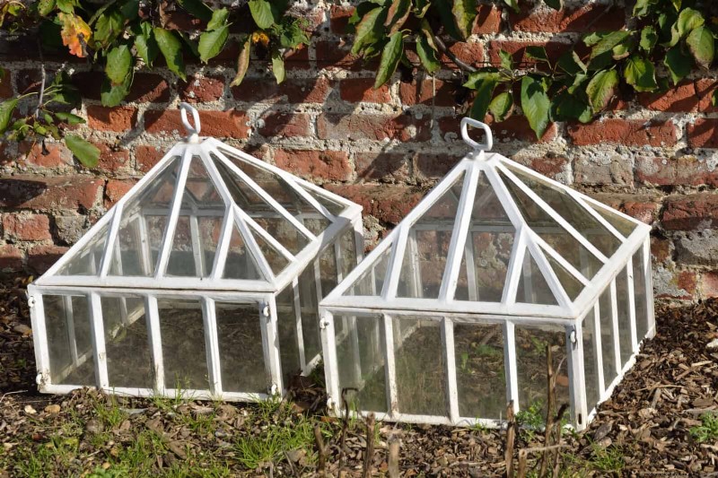 30 Essential March Garden Tasks to Kickstart a Lush Spring Yard