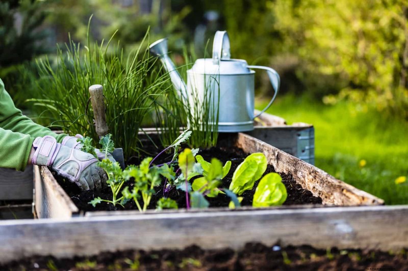 30 Essential March Garden Tasks to Kickstart a Lush Spring Yard