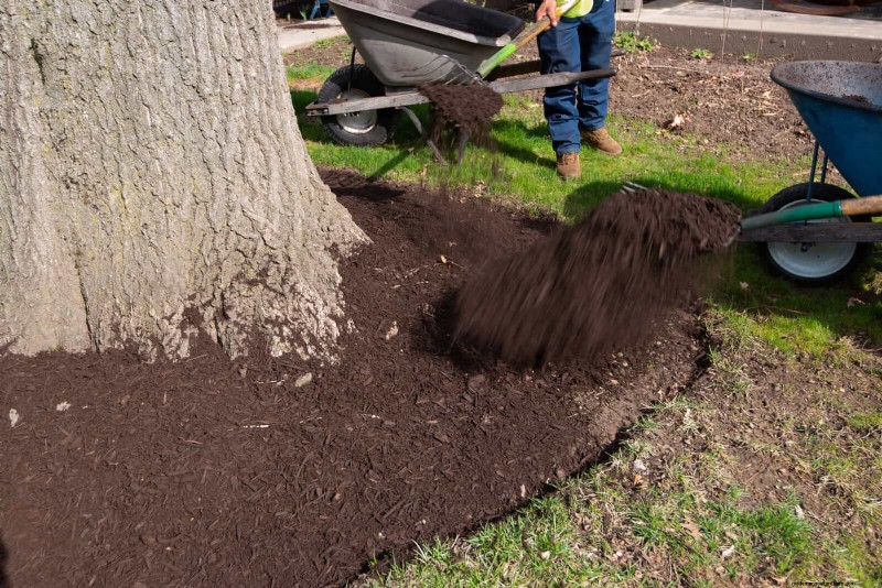 30 Essential March Garden Tasks to Kickstart a Lush Spring Yard