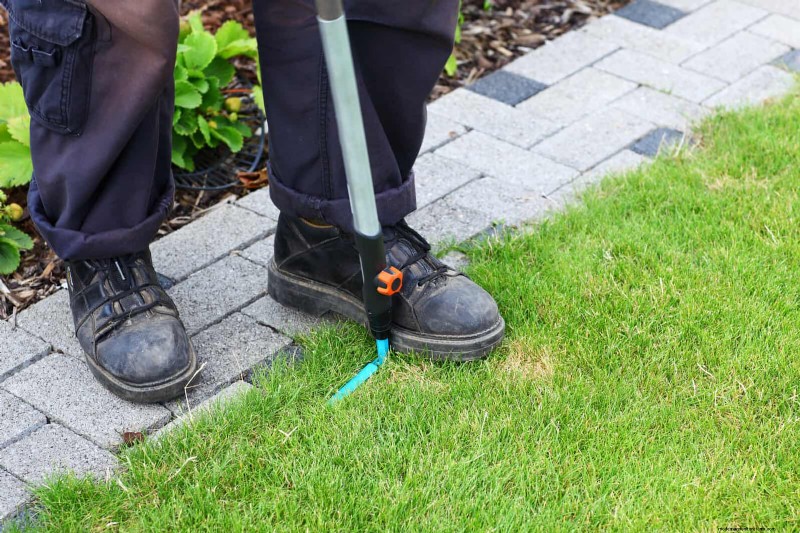 30 Essential March Garden Tasks to Kickstart a Lush Spring Yard