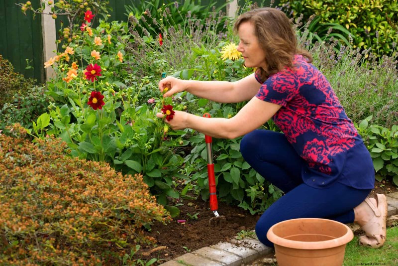 30 Essential March Garden Tasks to Kickstart a Lush Spring Yard